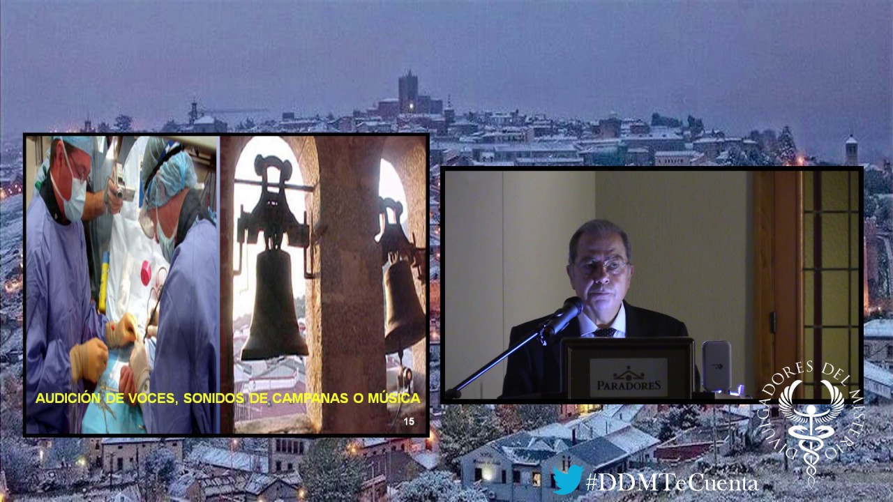 Que hay despues de la muerte por Alfredo Alonso Yuste