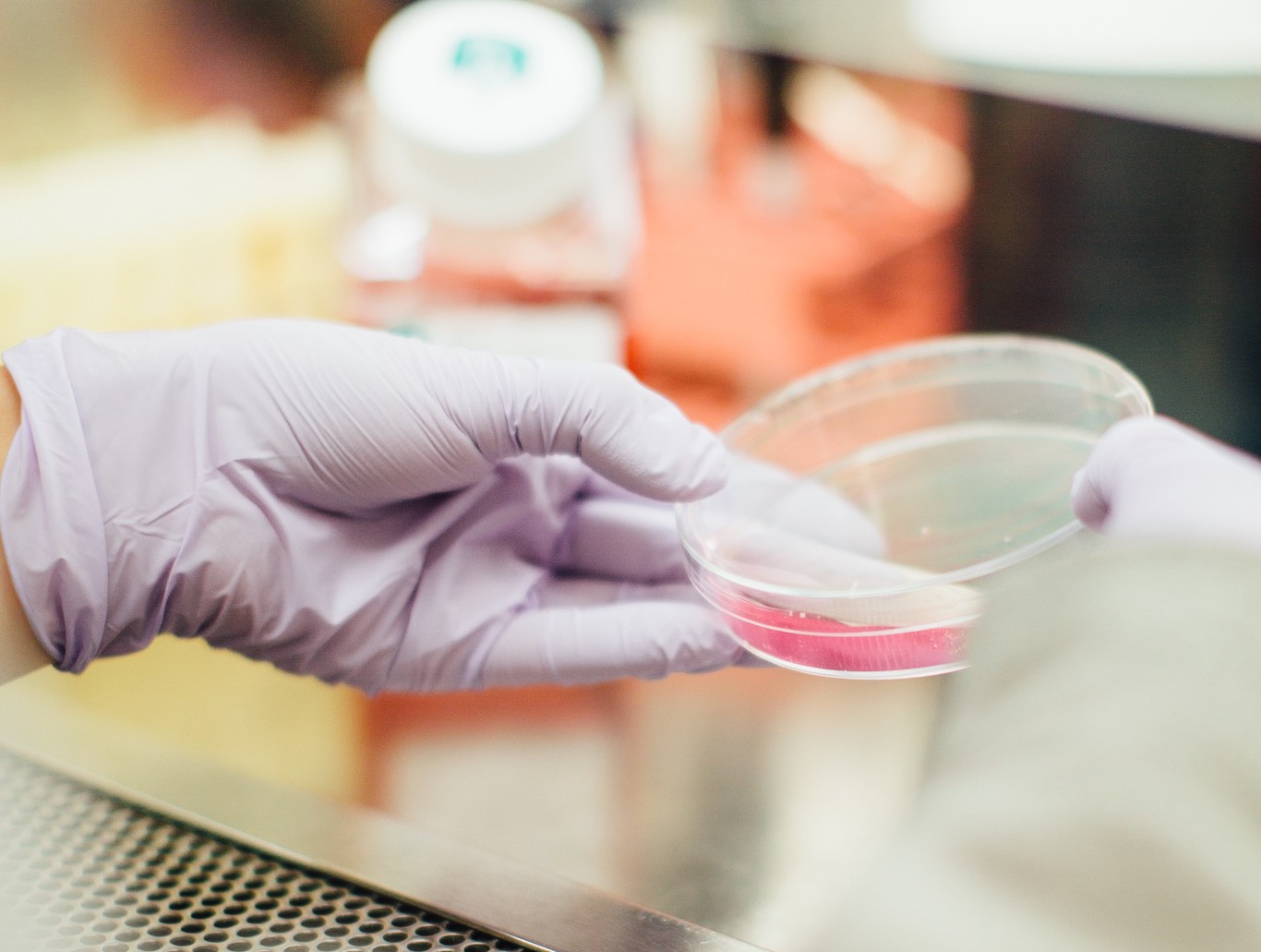 Estas son las primeras células inmunitarias reprogramadas y suponen todo un hito de la medicina moderna