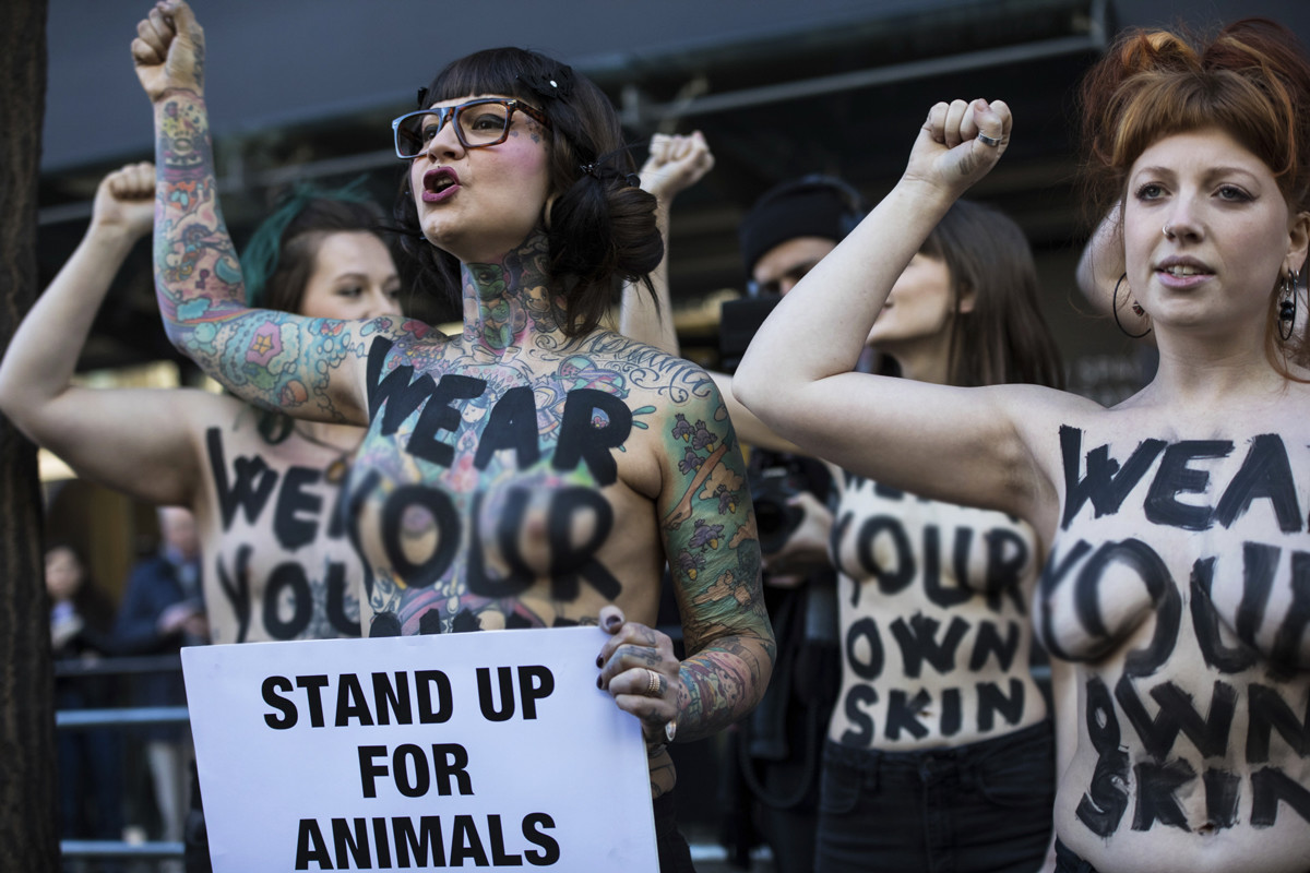 Veganismo protegido por ley: un tribunal británico lo pone al nivel de la religión