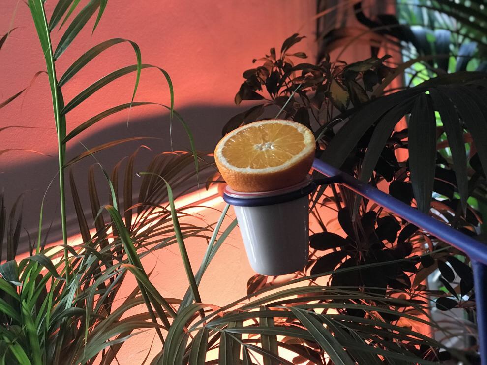 Así es la casa del futuro: suprarreciclaje, pequeña y en comunidad