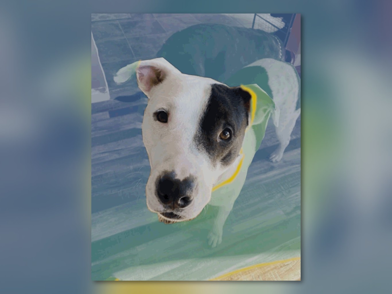 El algoritmo de Facebook dice convertir cualquier imagen 2D en 3D, aunque el móvil tenga una sola cámara