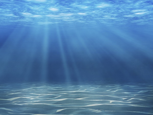 La botica. El agua de mar y sus propiedades