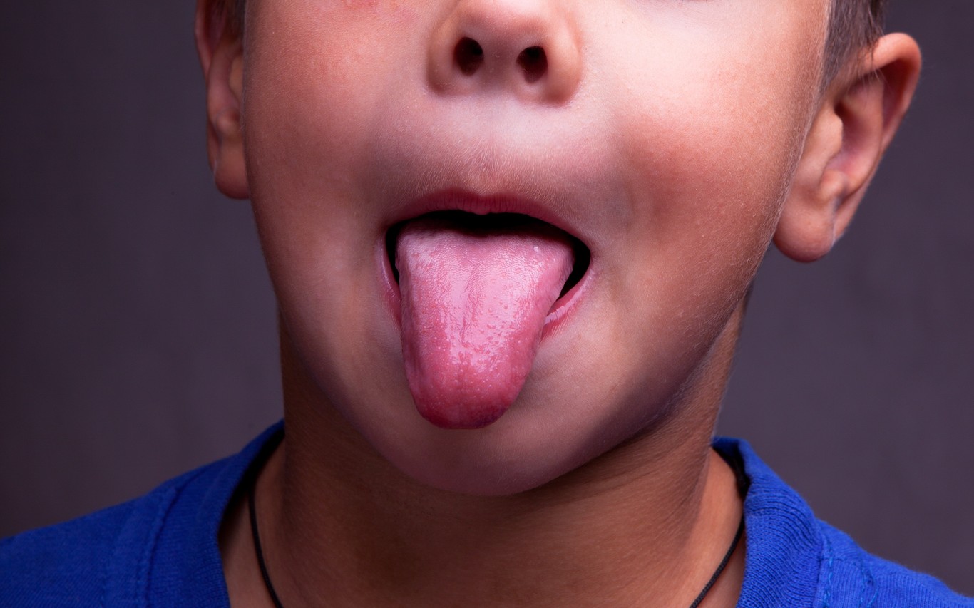 Este aparato recrea multitud de sabores al tener contacto con la lengua