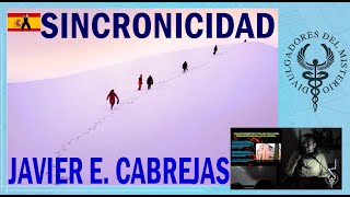 sincronicidad