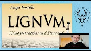 Lignum. La vida de Aurelio por Ángel Portillo Lucas