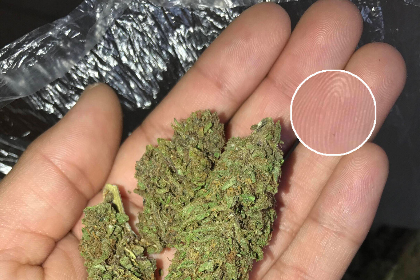 Un traficante vendía marihuana en la Dark Web de forma anónima: lo identificaron gracias a una foto de sus dedos