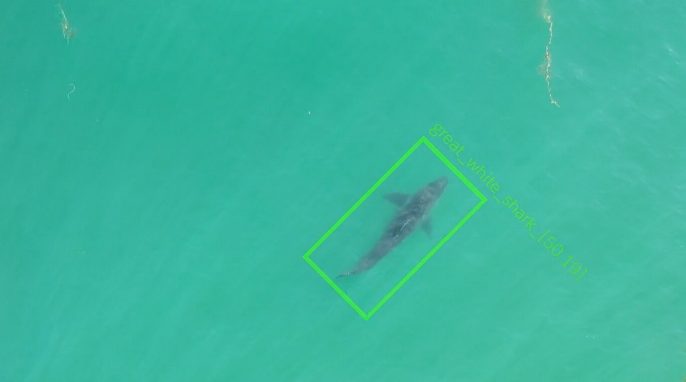 Estos drones para detectar tiburones cuando se acercan a la playa envían avisos en tiempo real para tranquilizar a los bañistas