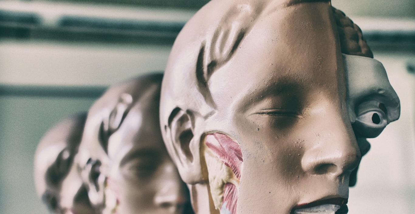 Estos científicos son capaces de "rejuvenecer" ojos: un equipo de Harvard recupera la visión de ratones gracias a una técnica epigenética