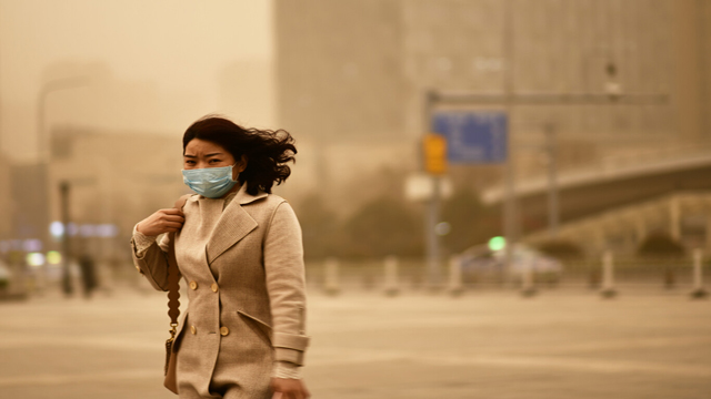 La contaminación te está haciendo más tonto