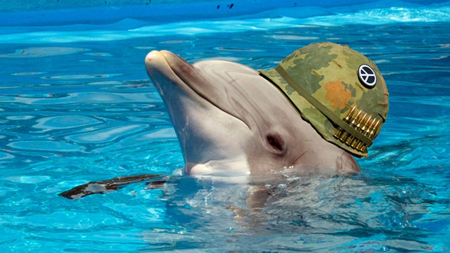 Rusia usa delfines para proteger una base naval