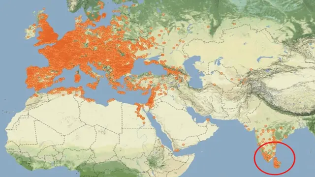 En cada uno de estos puntos hemos encontrado monedas romanas